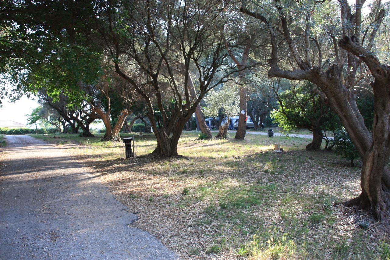 Le Beau Veze Campsite Carqueiranne